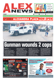 Alex News 29 November 2024