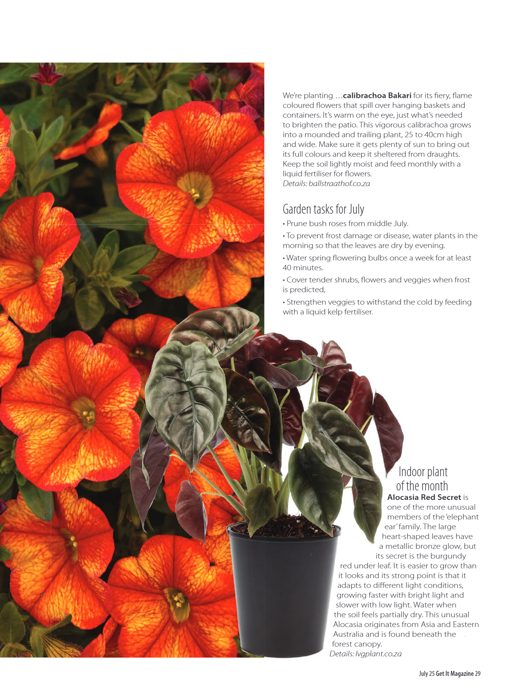 Get It NORTH July 25 page 29