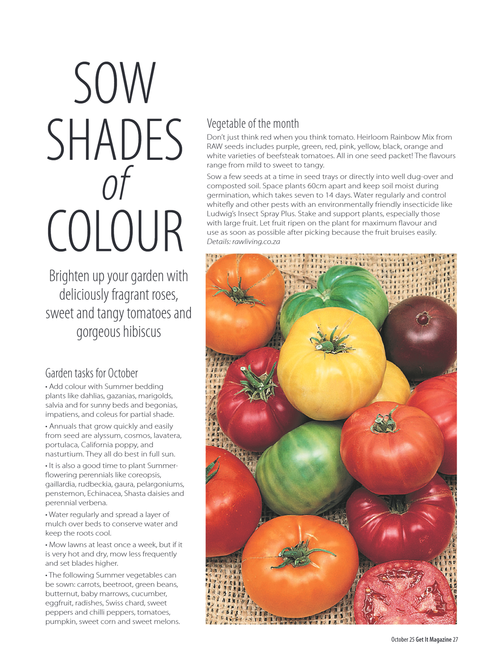 Get It North Oct 2025 page 27